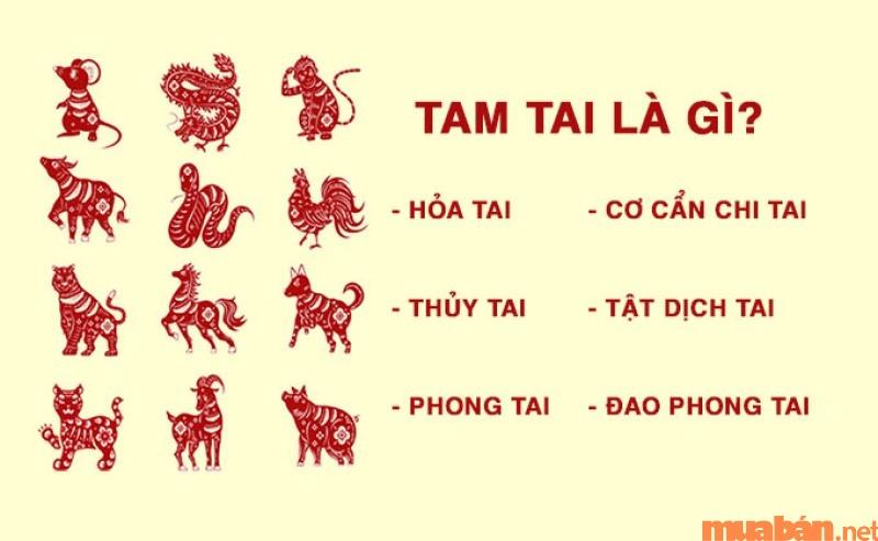 Tìm hiểu về khái niệm Tam Tai là gì?